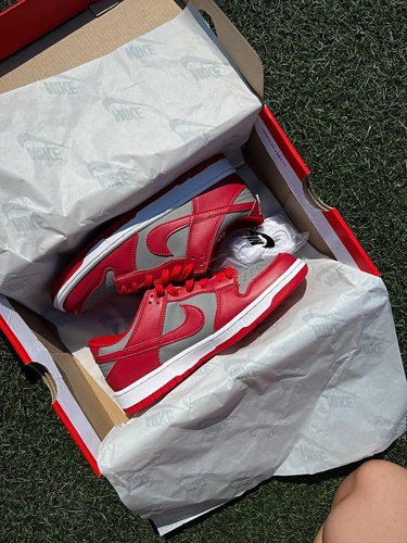 Кросівки Nike SB Dunk Retro Medium Grey Red 1423 фото