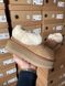 Зимові чоботи Ugg Coquette Platform Chestnut 9983 фото 6