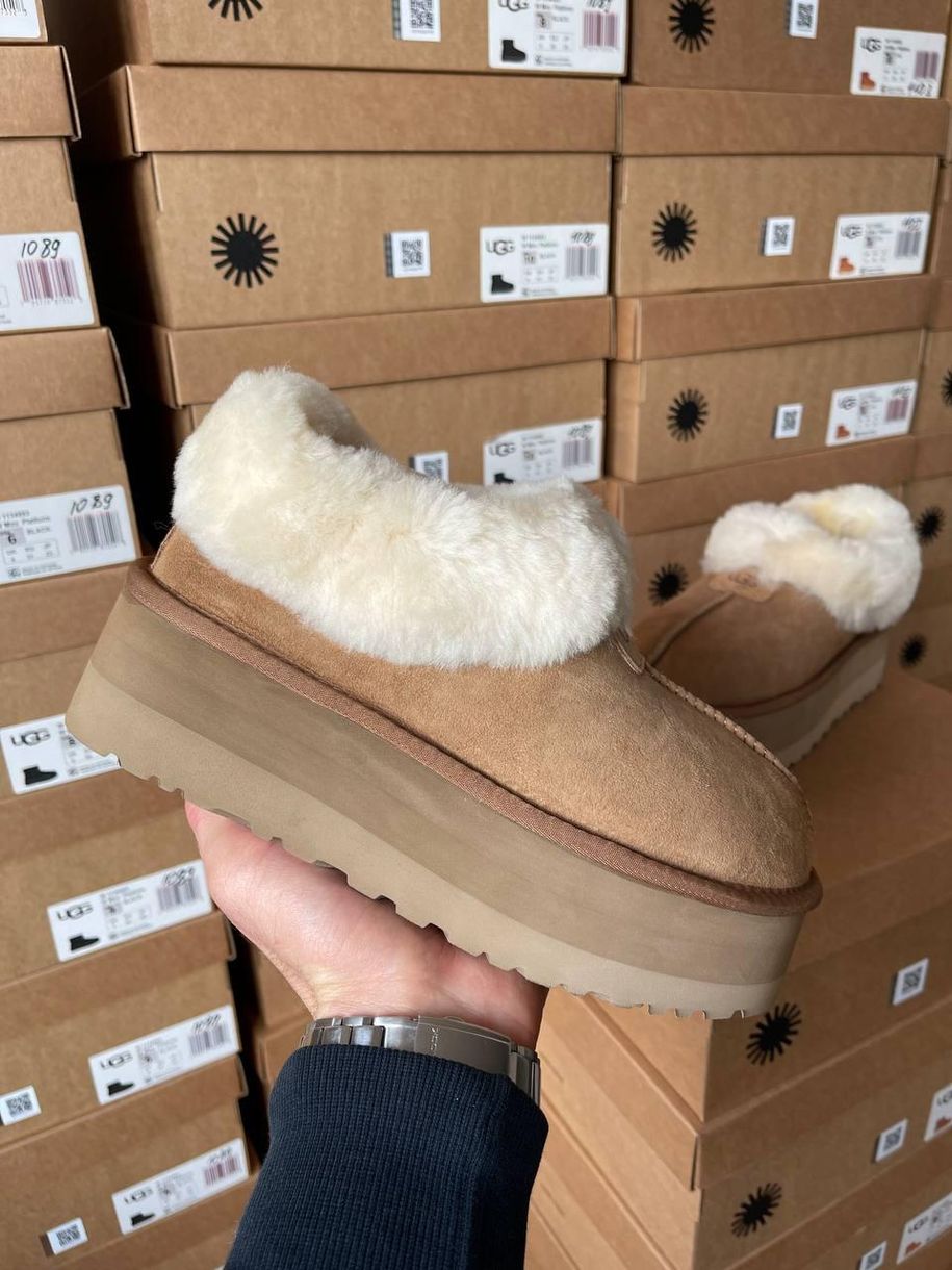 Зимові чоботи Ugg Coquette Platform Chestnut 9983 фото