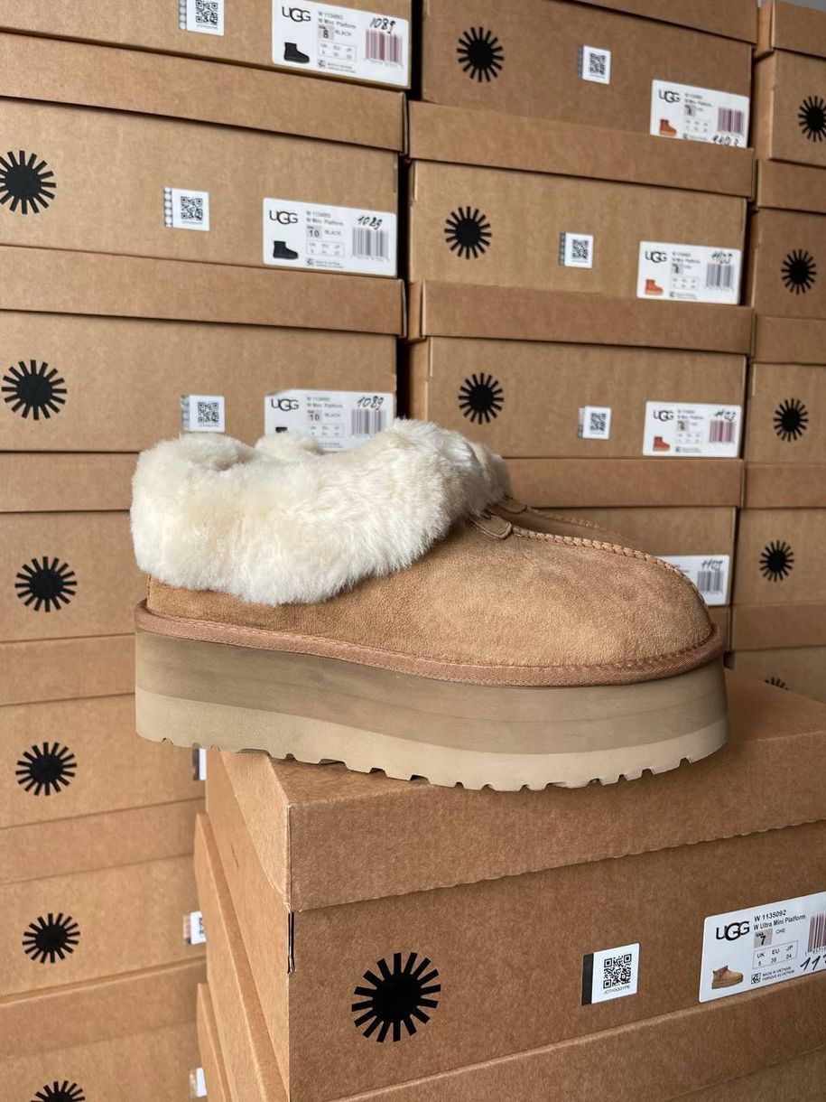 Зимові чоботи Ugg Coquette Platform Chestnut 9983 фото