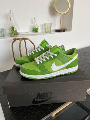 Кросівки Nike Dunk Low Chlorophyll 8565 фото