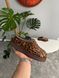 UGG Tasman Caspian Burnt Cedar, 36