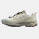 Salomon XT-6 Beige Black, 41