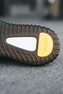 Adidas Yeezy Boost 350 v2 Cinder