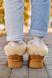 Зимние сапоги Ugg Classic Ultra Mini Platform Chestnut Fur 9463 фото 3