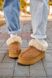 Зимние сапоги Ugg Classic Ultra Mini Platform Chestnut Fur 9463 фото 6