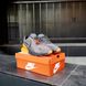Кросівки Nike Air Max 270 Grey Orange 821 фото 7