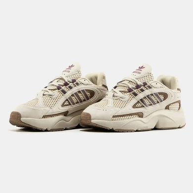 Adidas Ozmillen Cream Brown Purple, 37