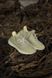 Кросівки Adidas Yeezy Boost 350 V2 Antila 2 (Рефлективные шнурки) 3050 фото 3