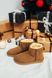 Зимние сапоги UGG Classic Mini Chestnut 5350 фото 5