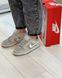 Кросівки Nike Dunk Disrupt Grey White 6107 фото 1