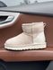 Зимові чоботи UGG Classic Mini Beige 2.0 5269 фото 1