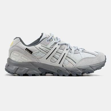 Asics Gel-Sonoma 15-50 GTX Birch Grey