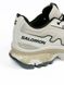 Кросівки Salomon XT-Slate Beige 10356 фото 6