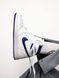 Nike Air Jordan 1 Retro High OG Court Purple 6176 фото 5