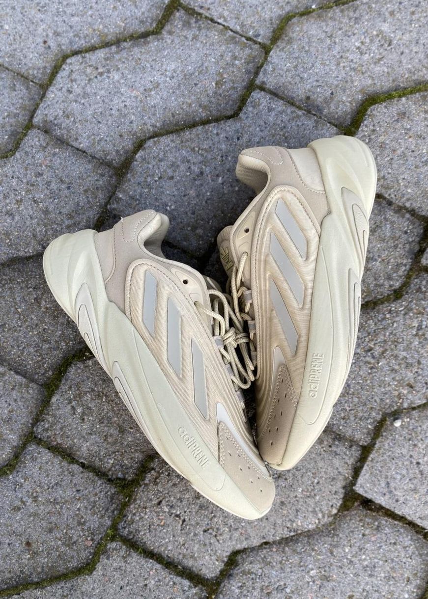 Кроссовки Adidas Ozelia Beige 2415 фото