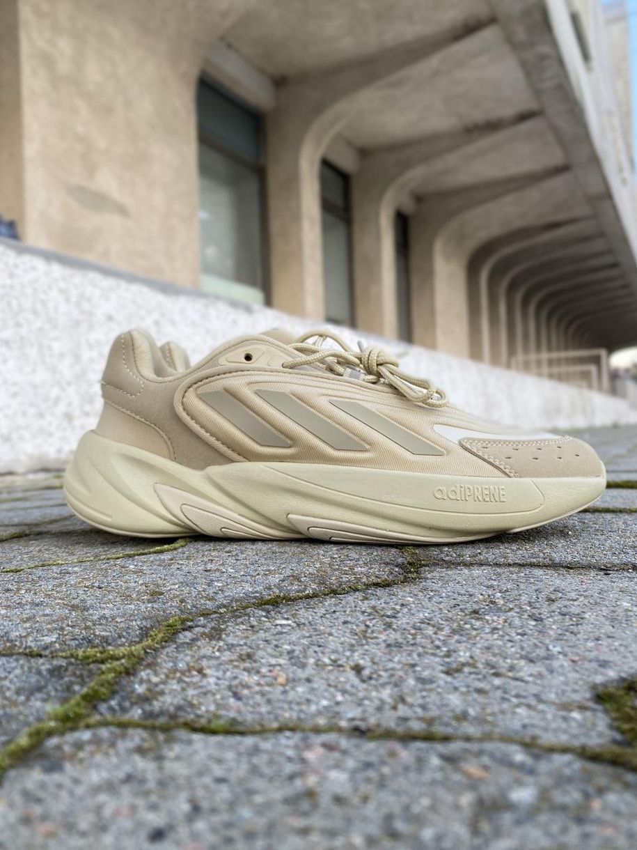 Кросівки Adidas Ozelia Beige 2415 фото