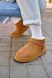 Зимові чоботи Ugg Ultra Mini Chestnut, 40