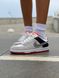 Кросівки Nike SB Dunk Low Grey Red 7874 фото 1