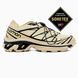 Salomon XT-6 GTX Beige Black