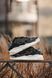 Кросівки Adidas Niteball Black White 2.0 2494 фото 4