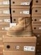 Зимові чоботи Ugg Mini Platform Chestnut 9907 фото 3