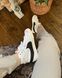 Кросівки Nike Blazer Mid '77 Jumbo White Black 587 фото 6