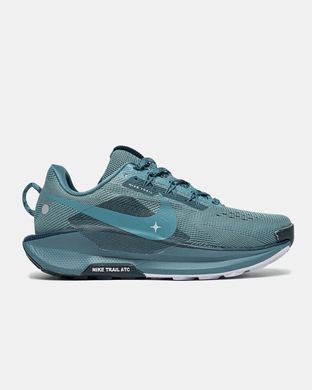 Nike Pegasus Trail 5 Blue Grey, 40