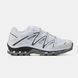 Salomon XT-Quest White Grey