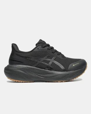 Asics Gel-Kayano 30 GORE-TEX Black/Gum