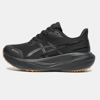 Asics Gel-Kayano 30 GORE-TEX Black/Gum