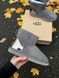 Зимние сапоги UGG Mini Grey Metallic v2 5404 фото 1