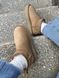 Зимние сапоги Ugg Classic Ultra Mini Platform Chestnut, 36