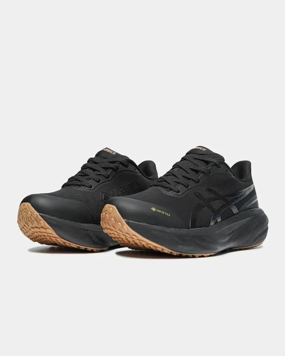 Asics Gel-Kayano 30 GORE-TEX Black/Gum