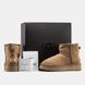 Зимние сапоги UGG Ultra Mini Platform Brown v2, 37