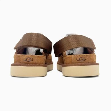 UGG Goldenstar Clog Chestnut, 36