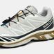 Salomon XT-6 Softground Beige Navy Brown