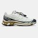 Salomon XT-6 Softground Beige Navy Brown