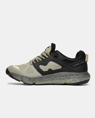 Salomon Predict Hike GTX Black/Beige, 41