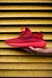 Adidas Yeezy Boost 350 V2 Red 3014 фото 1