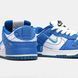 Nike Dunk Low Disrupt 2 White Royal
