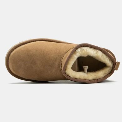 UGG Ultra Mini Platform Classic Chestnut