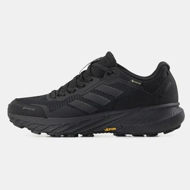 Adidas Terrex Agravic Flow 2 Gore-Tex Black, 42