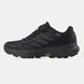 Adidas Terrex Agravic Flow 2 Gore-Tex Black, 42