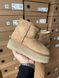 Зимові чоботи Ugg Mini Platform Chestnut 9907 фото 5