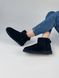 Зимние сапоги UGG Mini Black 5364 фото 10