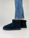 Зимние сапоги UGG Mini Black 5364 фото 1