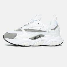 Dior B22 White Grey, 42