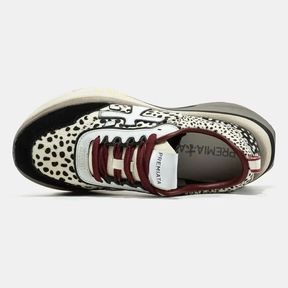 Premiata HILL Leopard Black Burgundy, 37