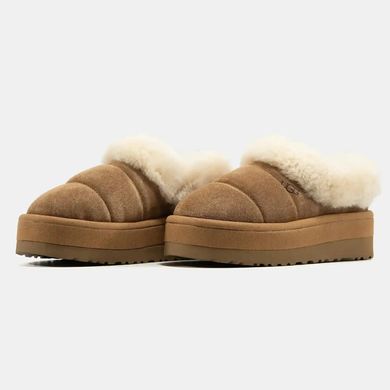 UGG Tazzlita Chestnut, 36